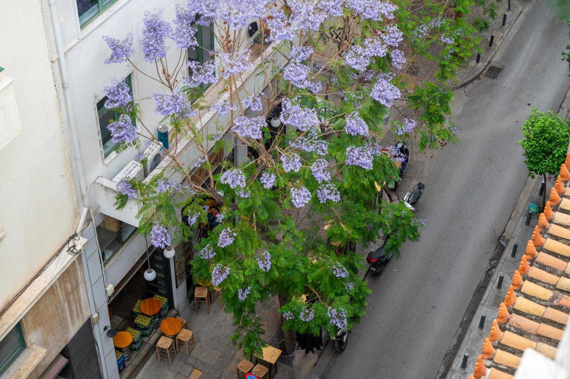 Hestia - Kolokotroni 23 Hotel Athens Exterior photo